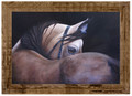 Buffalo Collection Grey Horse Image 1 Grey Horse