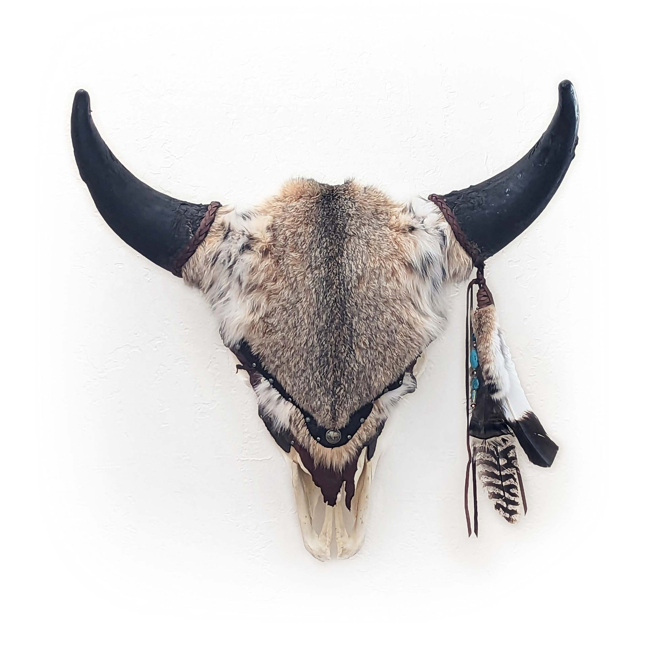 Bobcat Fur Bison Skull - Buffalo Collection