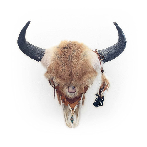 Bison skull hung on a white wall covered in red fox fur with hanging decorative feathers Bison skull hung on a white wall covered in red fox fur with hanging decorative feathers