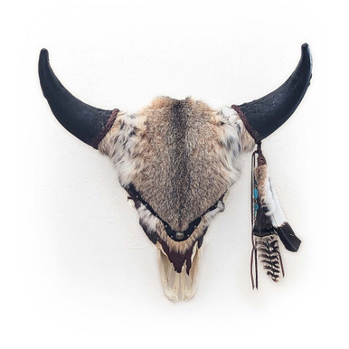 Bobcat Fur Bison Skull - Buffalo Collection