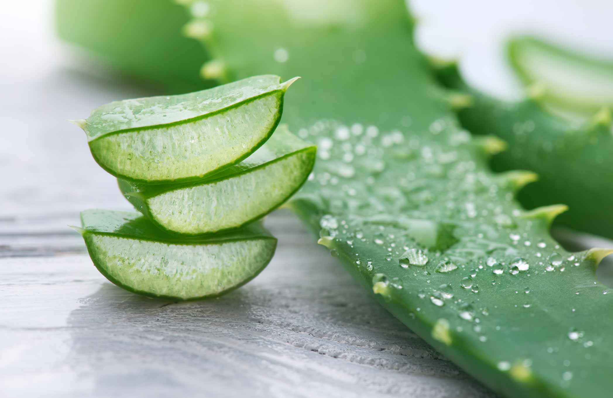 WHAT IS ALOE VERA? - Dr. Barbara Sturm - UK