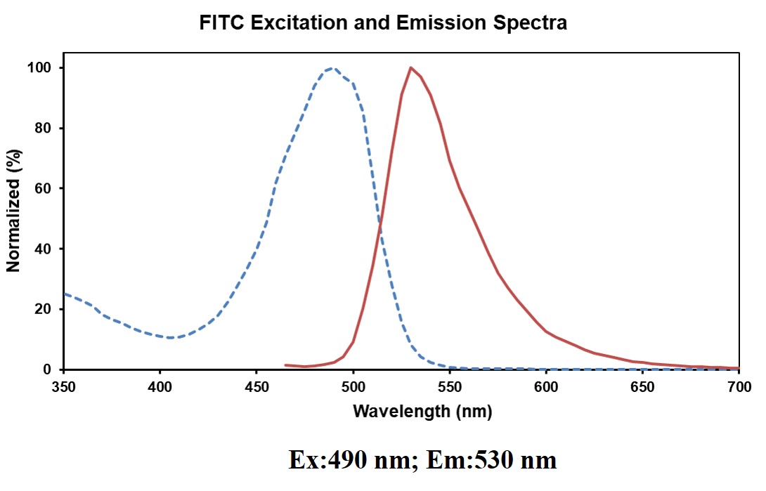 Spectrum Image