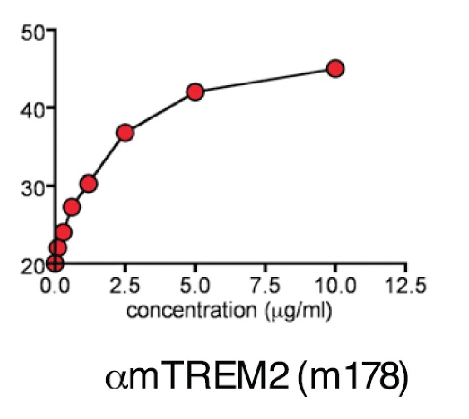 Anti-Mouse TREM2 – Fc Muted (Clone 178 (LALAPG)) (IVMB0399) Product Image