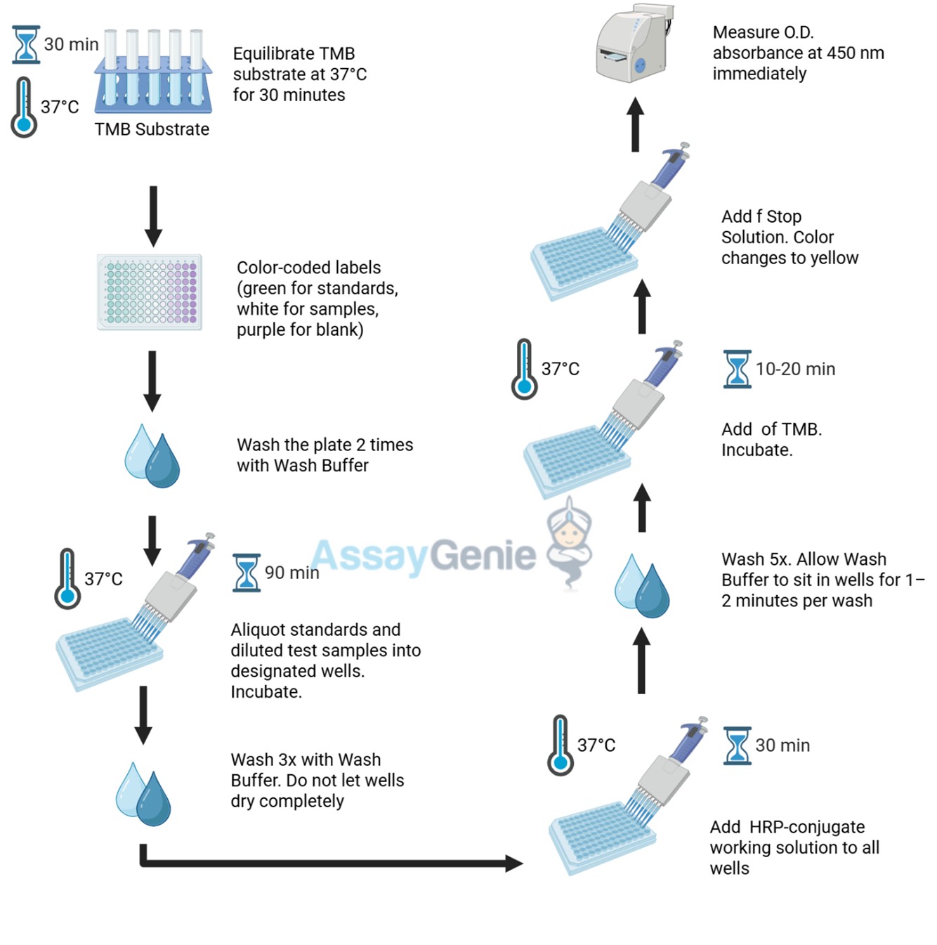 Assay Procedure