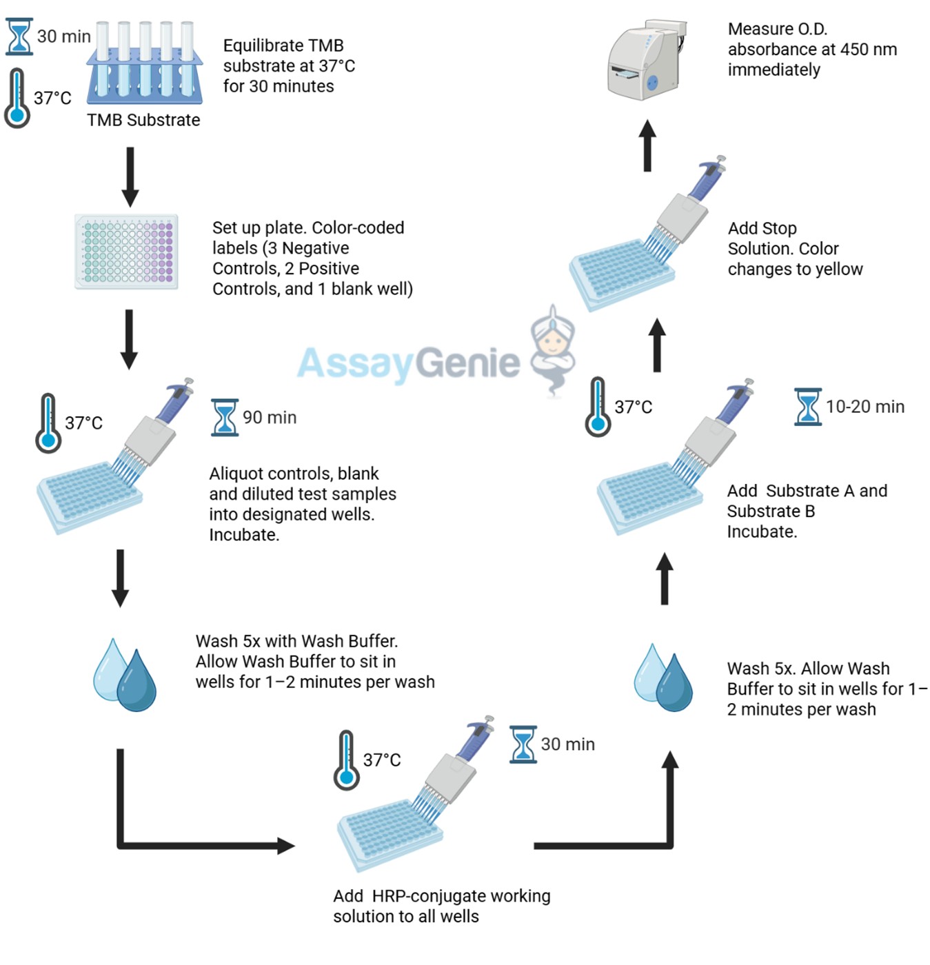 Assay Procedure