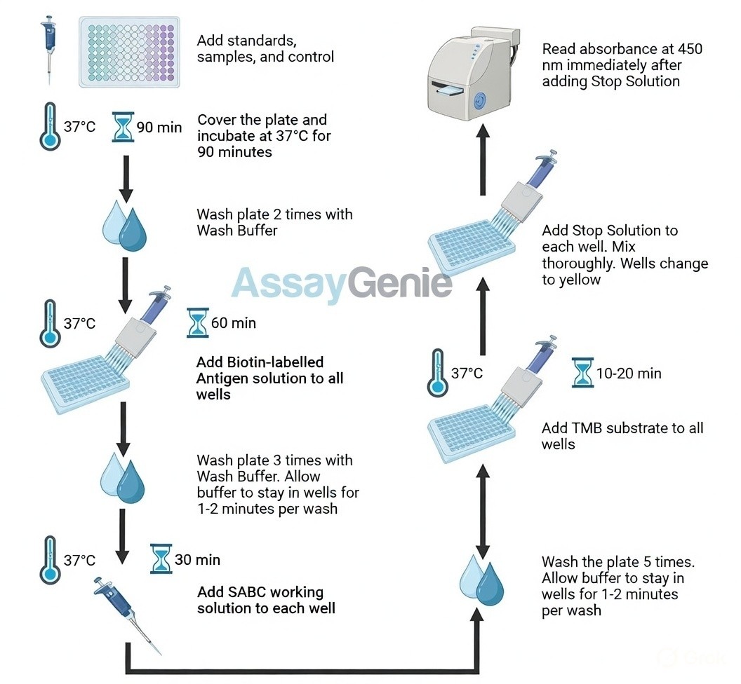 Assay Procedure