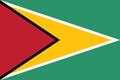 Guyana Flag