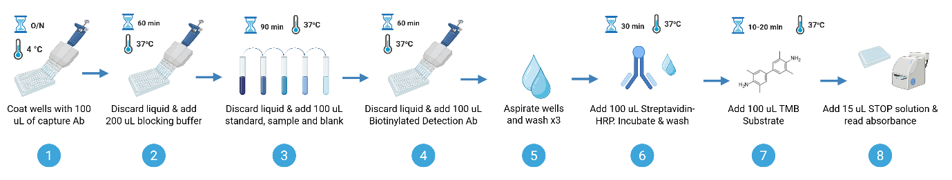 Assay Procedure