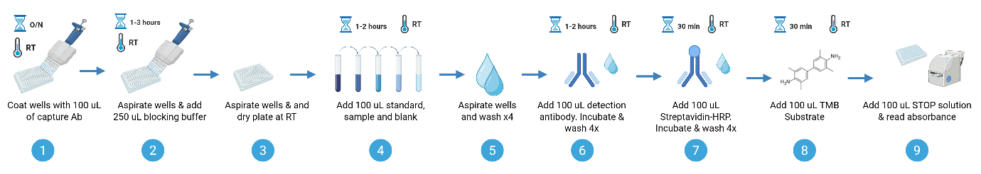 Assay Procedure