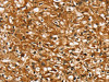SLC26A6 Antibody PACO20498