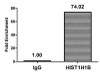 Acetyl-HIST1H1B K16 Antibody PACO56606