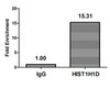 HIST1H1D Ab-85 Antibody PACO60611