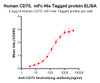 Anti-CD70 vorsetuzumab biosimilar mAb HDBS0005