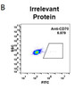 Anti-CD70 vorsetuzumab biosimilar mAb HDBS0005