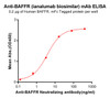 Anti-BAFFR ianalumab biosimilar mAb HDBS0045