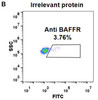 Anti-BAFFR ianalumab biosimilar mAb HDBS0045