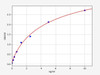 Human Immunology ELISA Kits 13 Human Tspo Translocator protein ELISA Kit HUFI03410