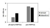 Human, Mouse and Rat Phospho-AMPKa1 S487 and Total AMPKa1 PharmaGenie ELISA Kit SBRS1748