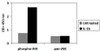 Human/Mouse/Rat Phospho-JNK T183/Y185 and Total JNK PharmaGenie ELISA Kit SBRS1873