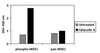 Human Phospho-MSK1 S376 PharmaGenie ELISA Kit SBRS1902