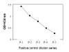 Human/Mouse/Rat Phospho-SMAD2 SER245/250/255 and Total SMAD2 SBRS1971