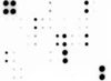 Bovine Cytokine Array 10 targets SARB0003