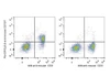 PerCP/Cyanine5.5 Anti-Mouse CD127/IL-7RA Antibody [A7R34] (AGEL0743)
