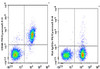 PE/Cyanine5.5 Anti-Mouse CD40 Antibody [FGK4.5/FGK45] (AGEL0778)