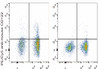 PE/Cyanine5 Anti-Mouse CD122 Antibody [5H4] (AGEL0802)