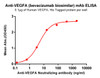 Anti-VEGFA (bevacizu biosimiar)  (HDBS0059)