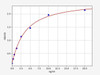 Human Regulatory-associated protein of mTOR ELISA Kit