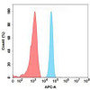 Tarextumab Biosimilar (Anti-NOTCH3) Antibody (HDBS0093)