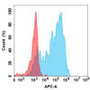 Secukinumab Biosimilar (Anti-IL17A) Antibody (HDBS0119)
