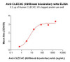 Litifilimab Biosimilar (Anti-CLEC4C) Antibody (HDBS0135)