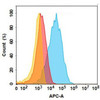 Farletuzumab Biosimilar (Anti-FOLR1) Antibody (HDBS0144)
