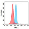 Narsoplimab Biosimilar (Anti-MASP2) Antibody (HDBS0145)