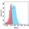 Milatuzumab Biosimilar (Anti-CD74) Antibody (HDBS0152)