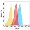Praluzatamab Biosimilar (Anti-CD166) Antibody (HDBS0154)