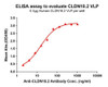 Human CLDN18.2 Full-Length Bioactive Membrane Protein (HDFP133)