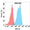 Anti-CD44 Chimeric Recombinant Rabbit Monoclonal Antibody (HDAB0227)