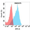 Anti-CDH6 Chimeric Recombinant Rabbit Monoclonal Antibody (HDAB0326)