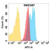 Anti-CXADR Chimeric Recombinant Rabbit Monoclonal Antibody (HDAB0335)