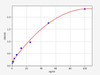 Rat SARS-CoV-2 Spike RBD Alpha (B.1.1.7 UK Variant) IgG ELISA Kit (AEFI00981)