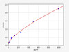 Human ZNF440(Zinc finger protein 440) ELISA Kit
