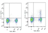 FITC Anti-Mouse CD25 Antibody [PC-61.5.3] (AGEL1297)