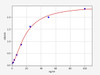 Hamster anti- SARS-CoV-2 (S protein) IgG ELISA Kit