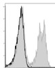 GenieFluor 488 Anti-Mouse CD3Îµ Antibody [145-2C11] (AGEL1329)