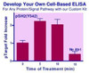 Custom Cell-Based ELISA Kit (BA0239)