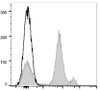APC Anti-Mouse Ly6C Antibody [Monts 1] (AGEL1504)