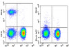 PE/GenieFluor 594 Anti-Human CD19 Antibody [CB19] (AGEL3181)